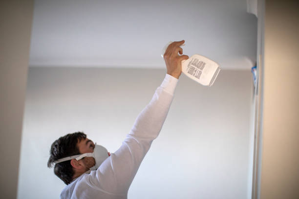 Home Mold Removal in Canton, TX