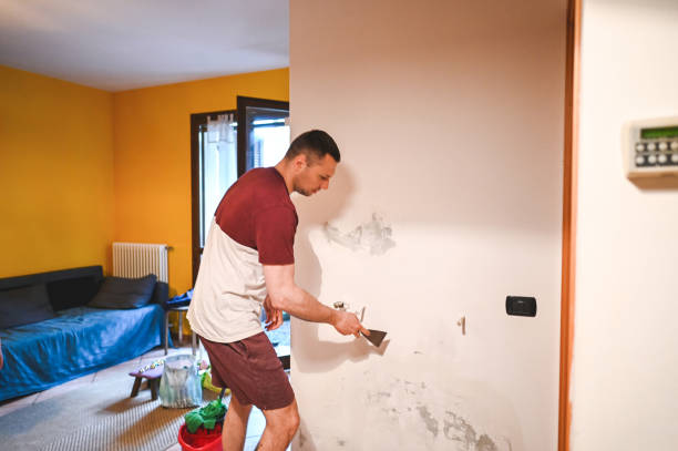 Best Mold Remediation  in Canton, TX