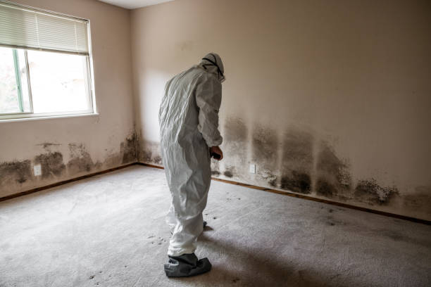 Canton, TX Mold Removal Company