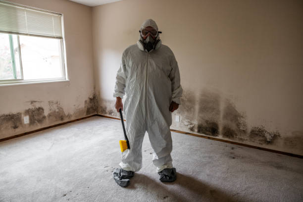 Best Residential Mold Removal  in Canton, TX